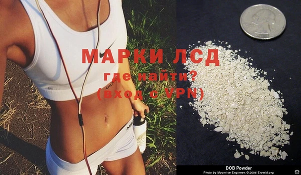 трава Верея