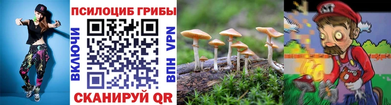 Галлюциногенные грибы мухоморы  цена наркотик  ОМГ ОМГ   Северобайкальск 